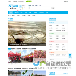 西子湖畔xizi.com - 连接美好生活 - 惠州西子湖畔