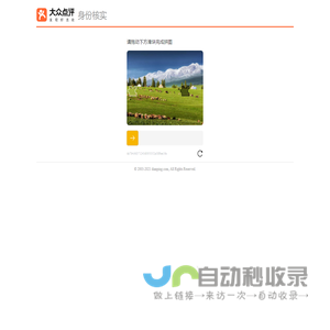 大众点评